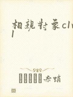 相亲对象c1v1