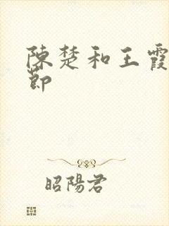 陈楚和王霞的章节