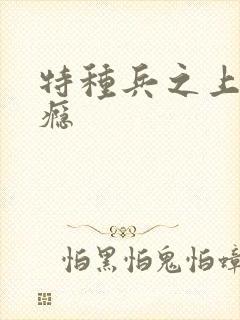 特种兵之上你成瘾封面