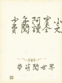 少年阿宾小说免费阅读全文免费