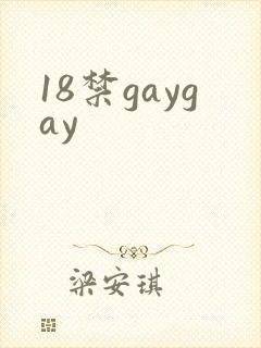 18禁gaygay封面