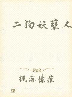 二狗妖孽人生封面