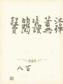 段明曦萧沐宸免费阅读无弹窗