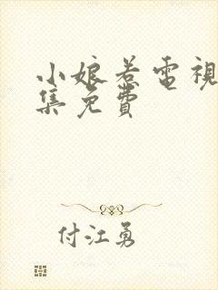 小娘惹电视剧全集免费