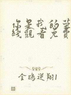 你是我的荣耀在线观看免费完整版