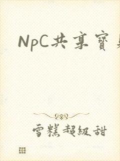 NpC共享宝贝