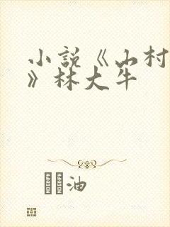 小说《山村情事》林大牛封面