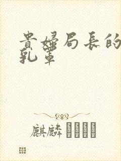 贵妇局长的蕾丝乳罩