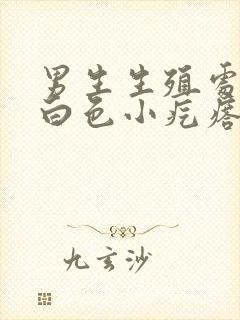 男生生殖处有个白色小疙瘩什么原因