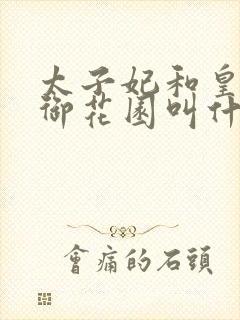 太子妃和皇帝在御花园叫什么小说