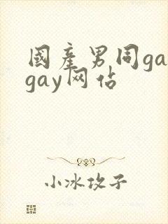 国产男同gaygay网站