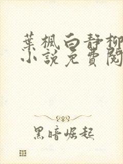 叶枫白静柳如烟小说免费阅读