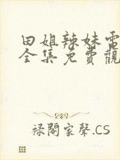 田姐辣妹电视剧全集免费观看高清