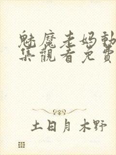 魅魔老妈动漫全集观看免费