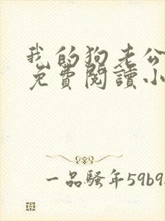 我的狗老公李淑免费阅读小说全文无弹窗