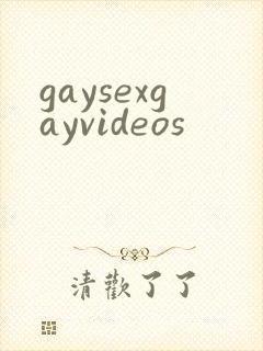 gaysexgayvideos封面