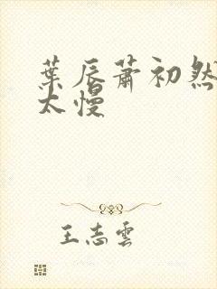 叶辰萧初然更新太慢