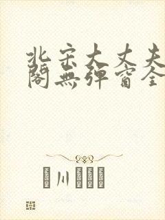 北宋大丈夫笔趣阁无弹窗全文阅读封面