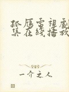 孤雁电视剧45集在线播放免费观看封面