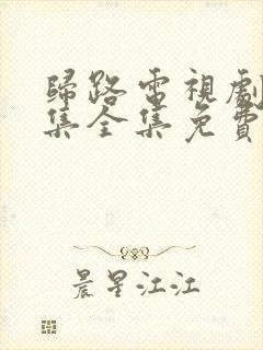 归路电视剧30集全集免费观看高清