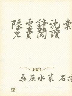 陆云铮沈棠全文免费阅读封面