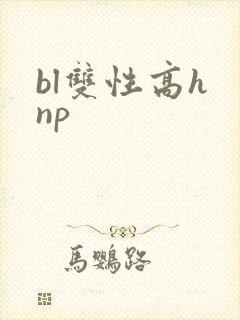 bl双性高h np封面