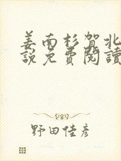 姜南杉贺北铮小说免费阅读最新章节