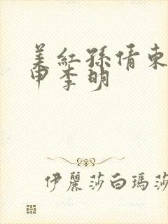 美红孙倩东子王申李明封面