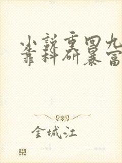 小说重回九零她靠科研暴富了封面