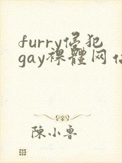 furry侵犯gay裸体网站封面