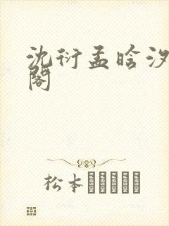 沈衍孟晗汐笔趣阁