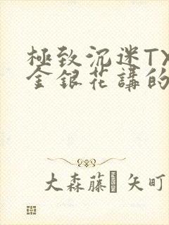 极致沉迷TXL金银花讲的什么封面