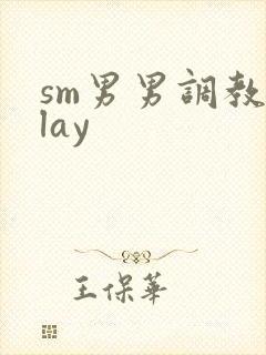 sm男男调教play