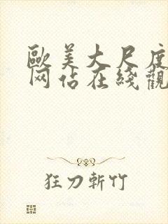 欧美大尺度视频网站在线观看