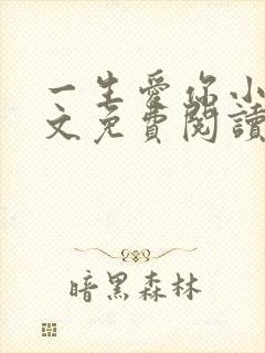 一生爱你小说全文免费阅读无弹窗