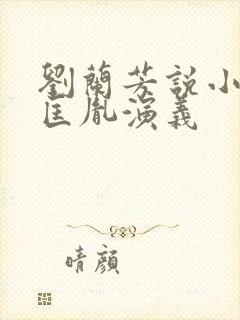 刘兰芳说小说赵匡胤演义封面