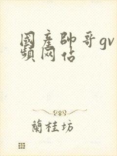 国产帅哥gv视频网站