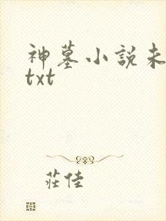 神墓小说未删版txt