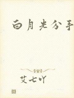 白月光分手日常