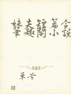 妹夫短篇合集_笔趣阁小说