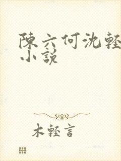 陈六何沈轻舞的小说