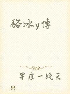 骆冰y传封面