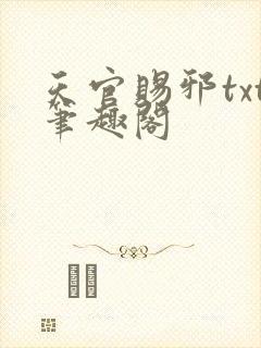 天官赐邪txt笔趣阁封面