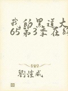 我的黑道大佬365第3季在线观看全集免费