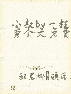 小叔by一枝独秀全文免费阅读笔趣阁最封面