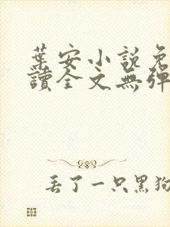 叶安小说免费阅读全文无弹窗