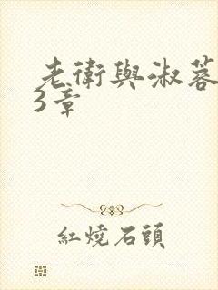 老卫与淑蓉第13章