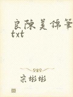 良陈美锦笔趣阁txt