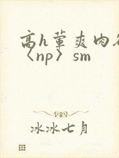 高h荤爽肉欲文〈np〉sm