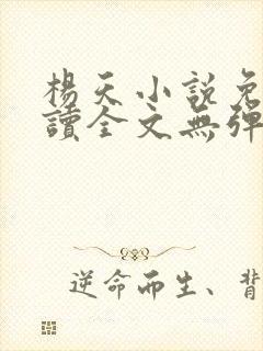 杨天小说免费阅读全文无弹窗封面